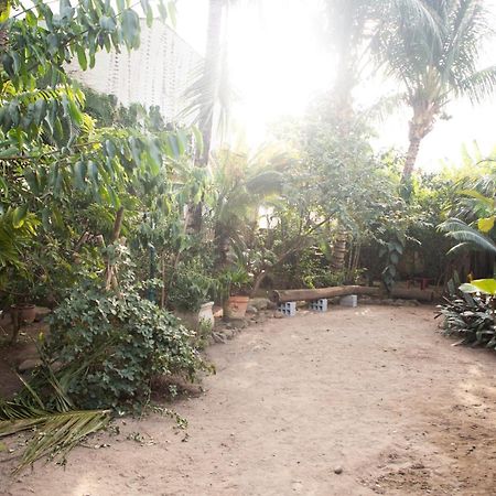 Praia Casa Sao Sebastiao المظهر الخارجي الصورة